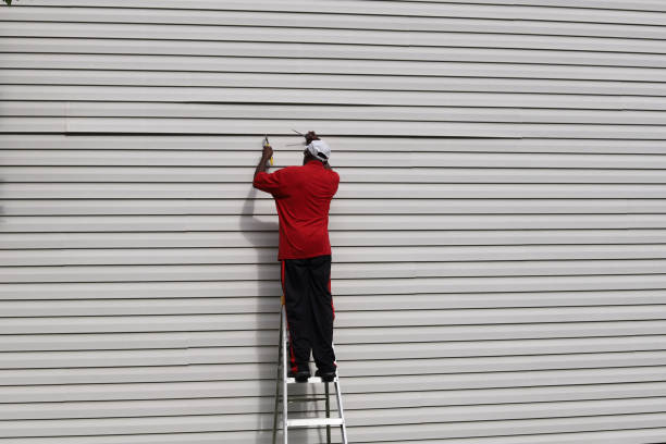 Best Steel Siding Installation  in Cordova, AK