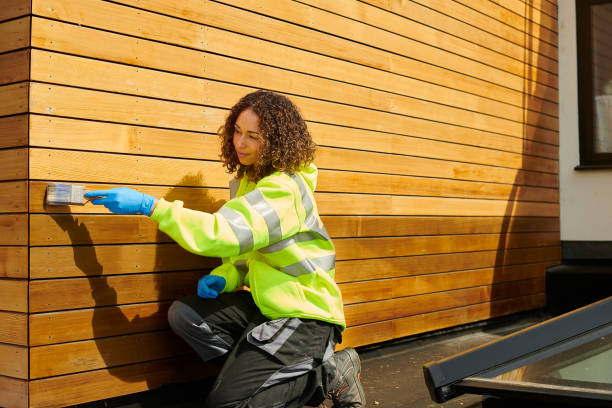 Best Stucco Siding  in Cordova, AK