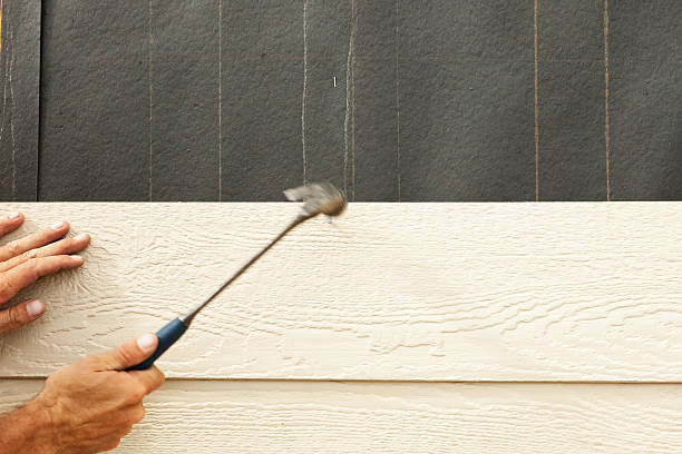 Best Siding Painting and Refinishing  in Cordova, AK